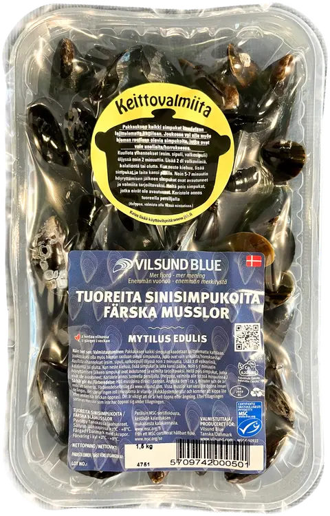 JOHAN I HALLEN&BERGFALK MSC sinisimpukka elävä 1,5 kg