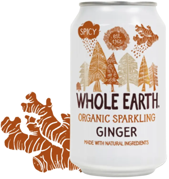 Whole Earth Luomu hiilihapotettu inkiväärijuoma 330ml