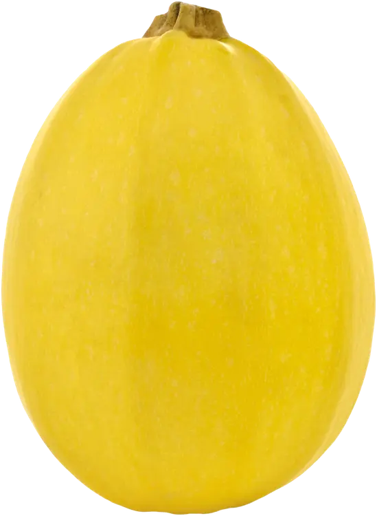 Spagettikurpitsa luomu