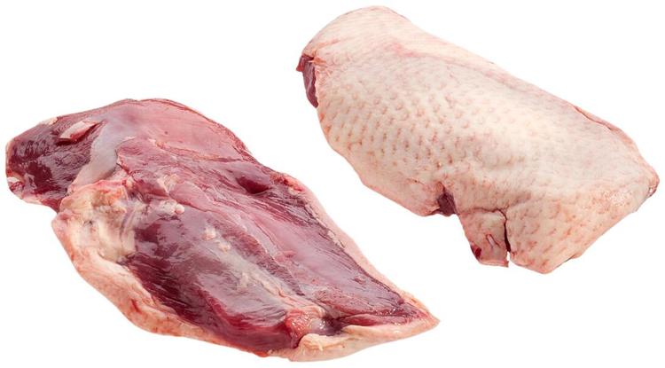 Euralis Ankanrinta 200-280g pakaste