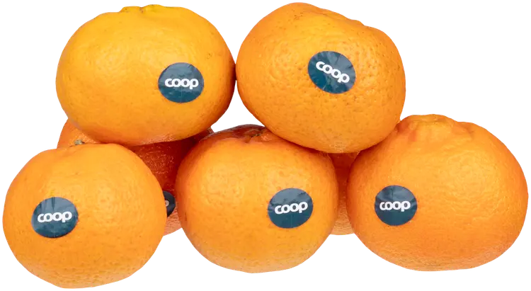 Klementiini
