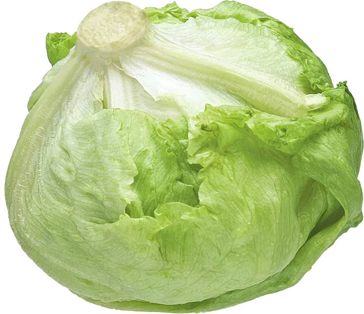 Jäävuorisalaatti pakattu