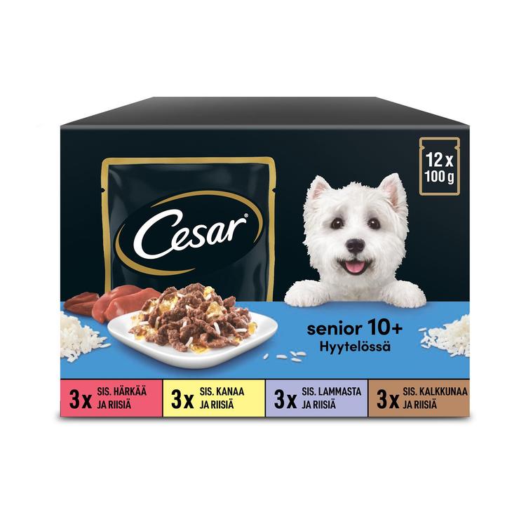 Cesar Senior 10+ annospussilajitelma hyytelössä (12 x 100 g)