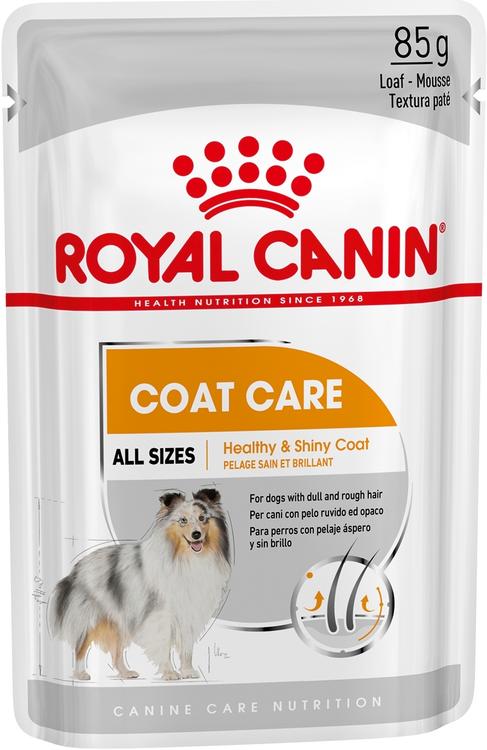 Royal Canin Canine Care Nutrition Coat Care Wet 12X85G