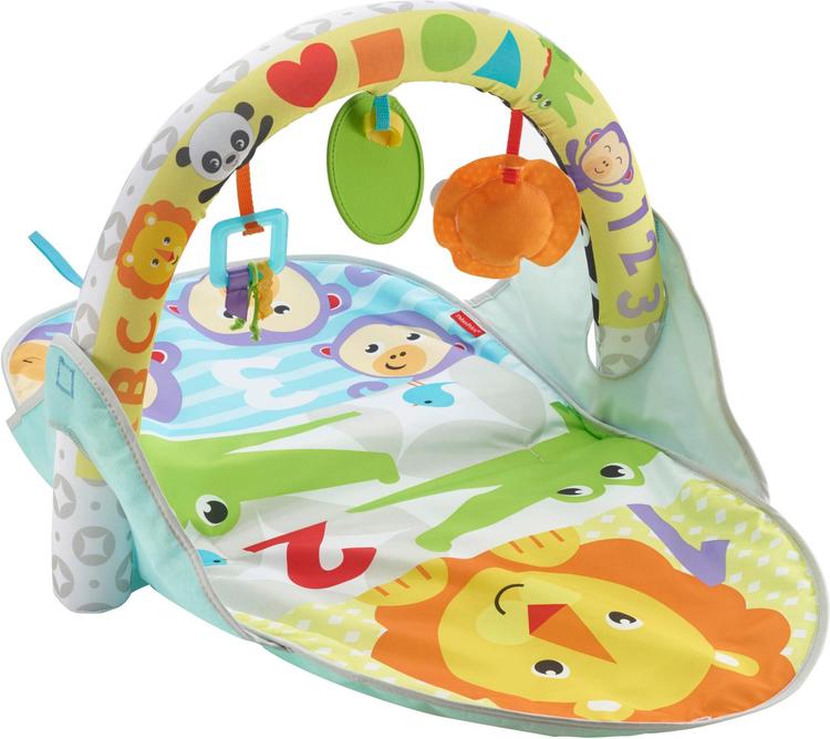 Fisher-Price 2-In-1 Flip & Fun Activity Gym Fxc14