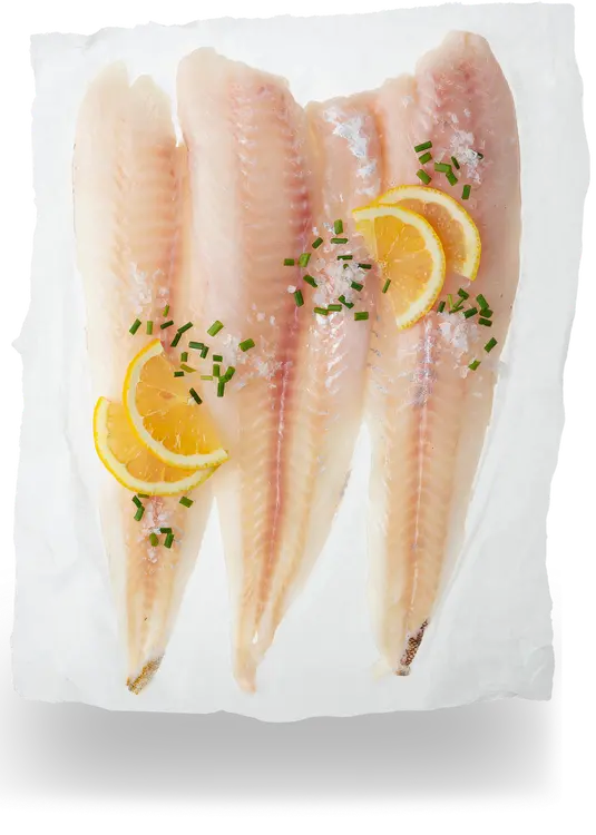 Finnish Freshfish Turskafilee