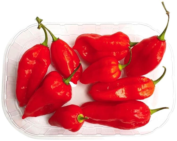Chili Naga Morich 50 g erittäin vahva (10)