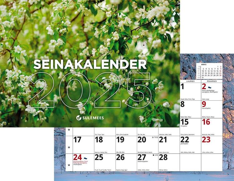 Lihtne seinakalender, 240 x 165mm
