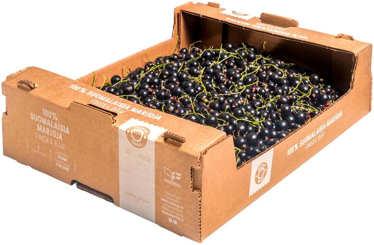 Pakkasmarja 3kg suomalainen mustaherukka