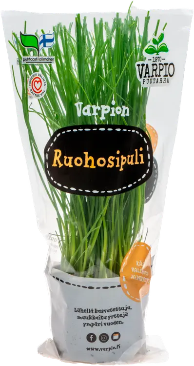 Varpio Ruohosipuli