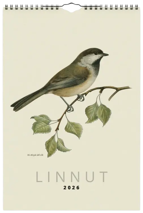 Seinäkalenteri ART COLLECTION Linnut von Wright
