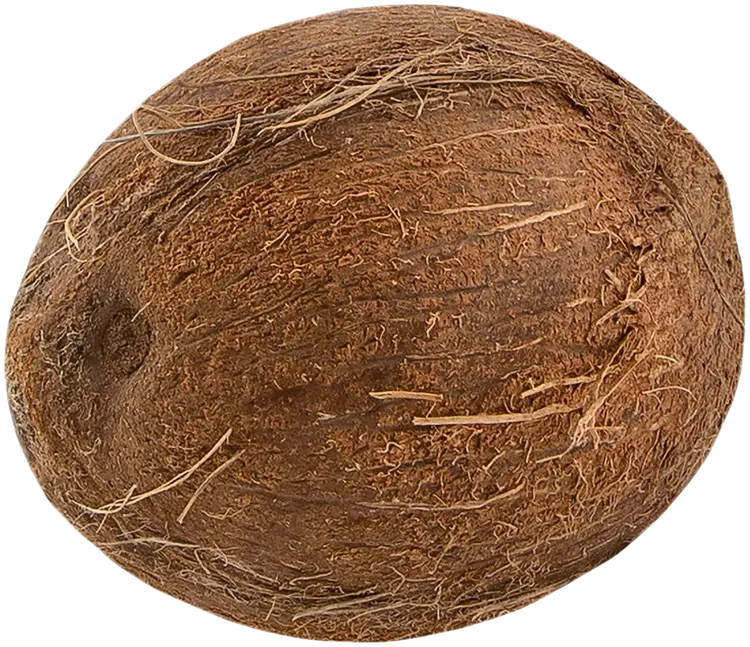Kookospähkinä
