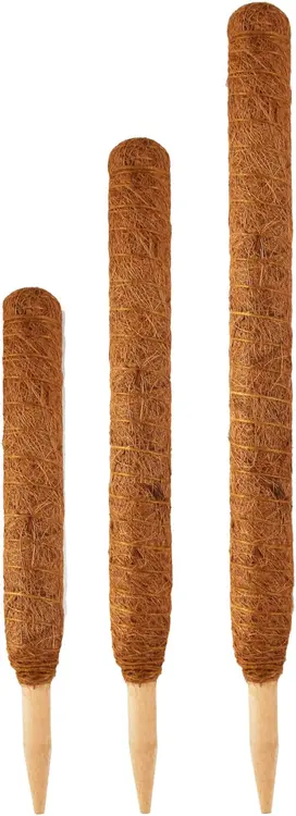 Tarha-Tuote tukikeppi kookos 60 cm