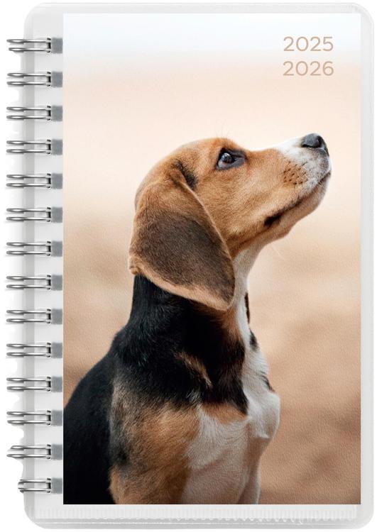 Burde Kalenteri 25/26 Compact Pets
