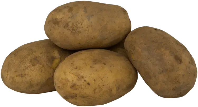 Jauhoinen peruna harjattu