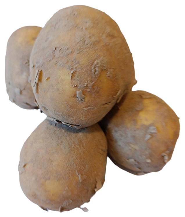 Kartul pesemata