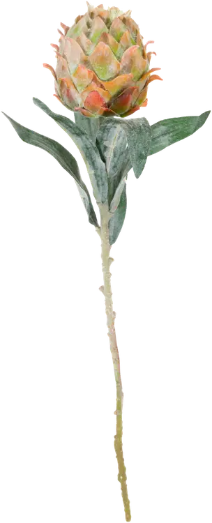 Koristeoksa Kevät, erilaisia
