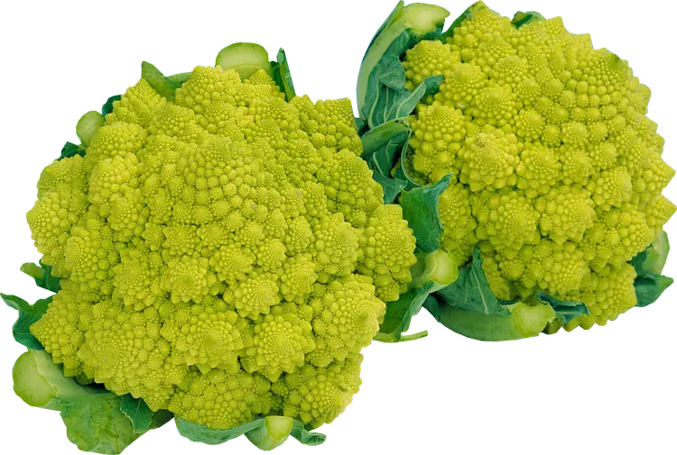Romanesco kukkakaali