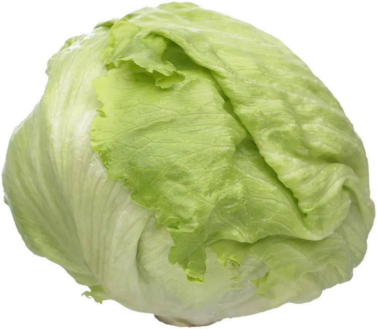 Jäävuorisalaatti 300 g Espanja