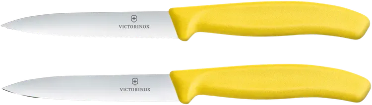 Victorinox pikkuveitsisetti 2 kpl 10 cm keltainen