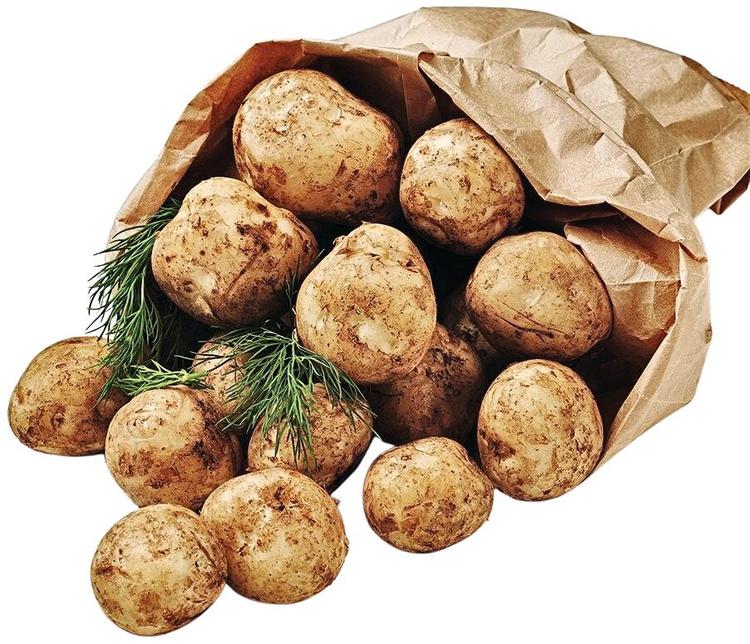 Varhaisperuna Ruotsi