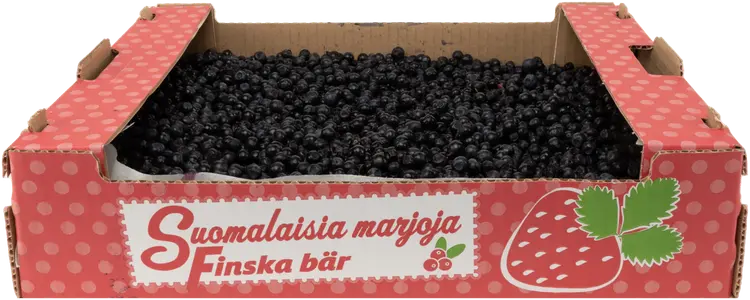 Rannikon mustikkalaatikko 3 kg