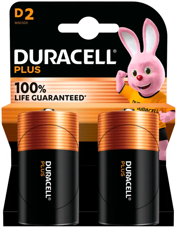 Duracell 2kpl Plus D