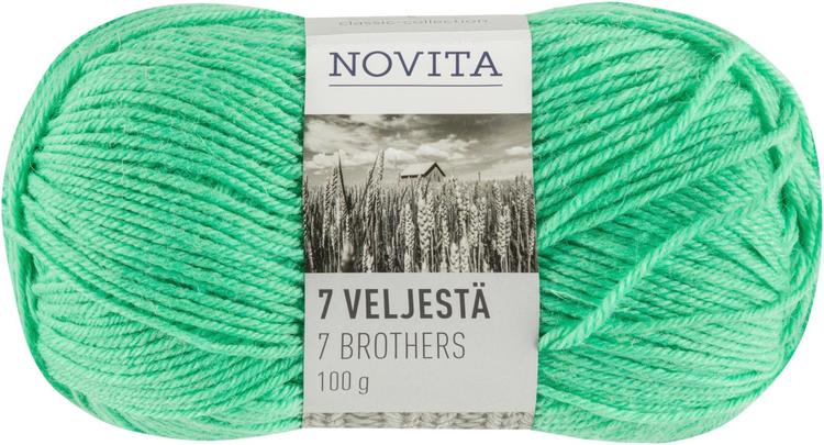 Novita 7 veljestä 100g yrtti 302