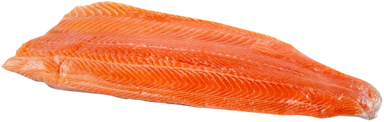 Kalaneuvos Kirjolohifilee ruodoton