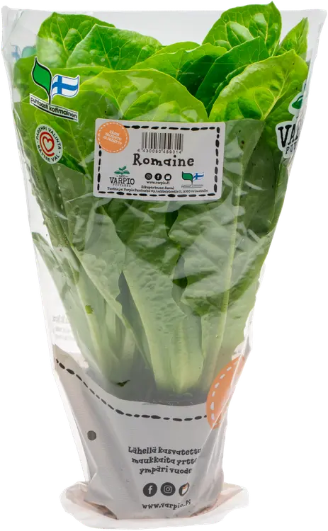 Varpio Romaine