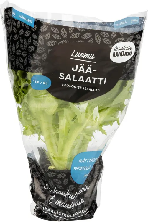 Ruukkujääsalaatti Luomu