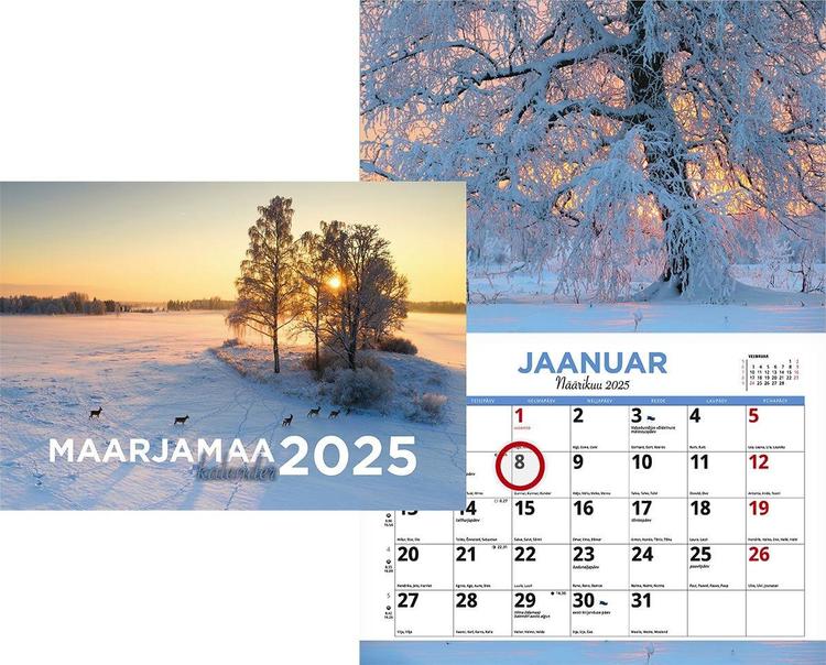 Seinakalender maarjamaa, 297 x 420
