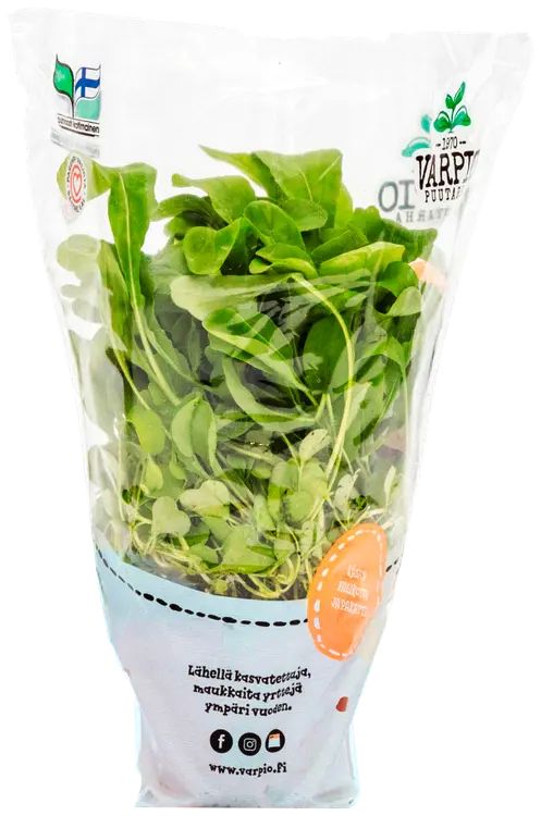 Varpio Rucola