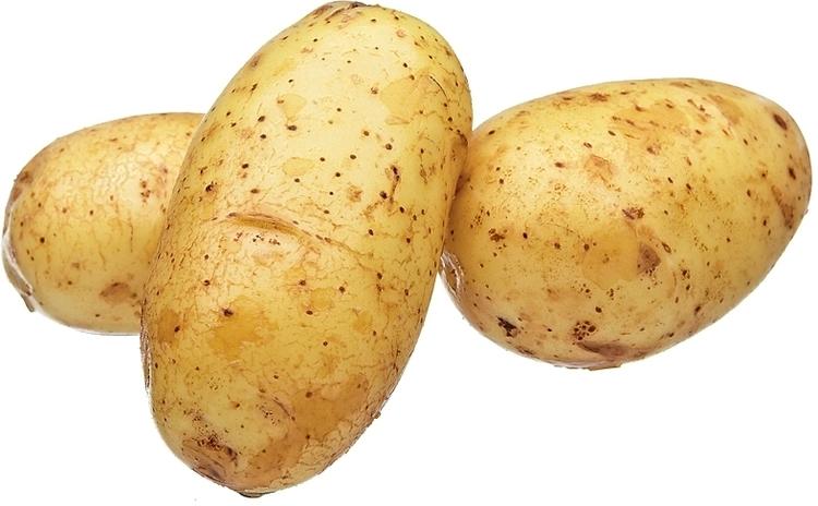 SIIKLI