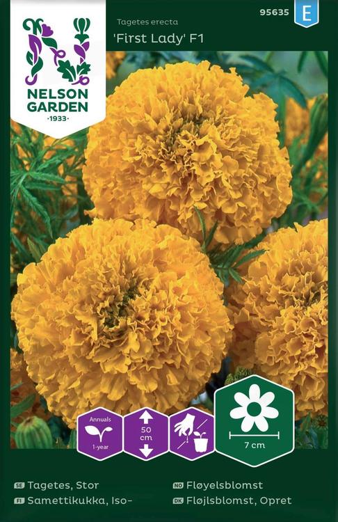 95635 tagetes inca gold f1