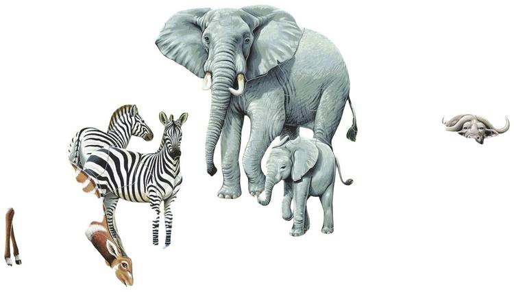 Puzzle Aafrika Savann FH9