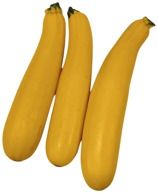 Suvikõrvits kollane