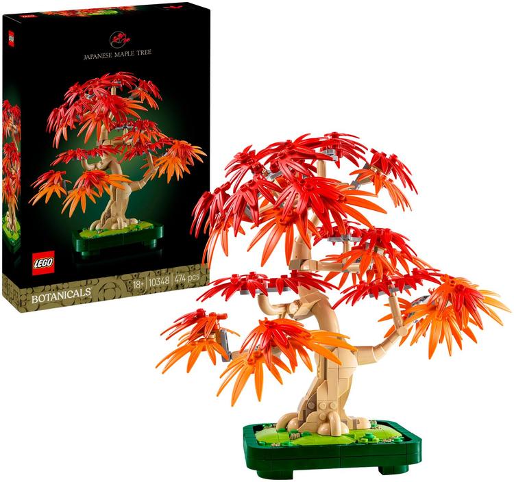 10348 jaapani punase vahtra bonsai puu