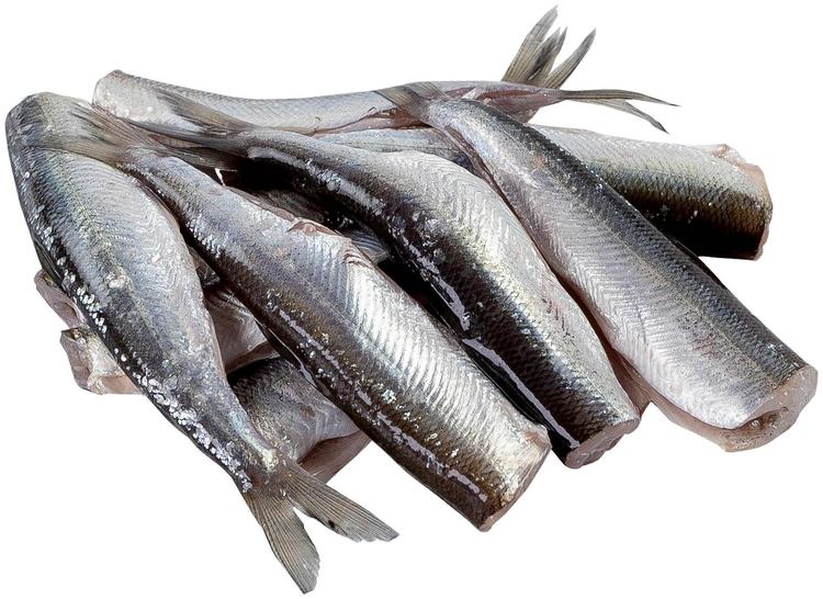 KUUSAMON MUIKKU, käsinperattu