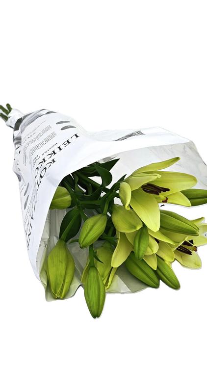 Leikkolilja 3kpl, muovikääre, tuoksuton L.A. hybrid