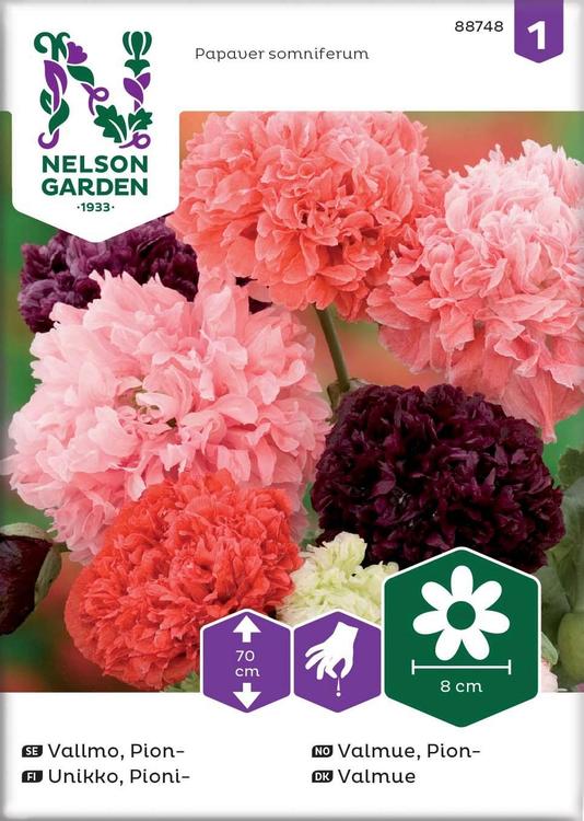 Nelson Garden Siemen Unikko, Pioni-, väriseos