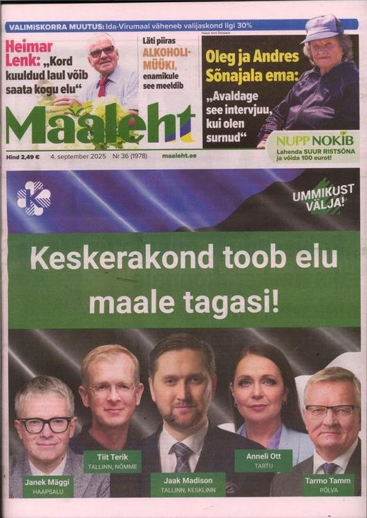 Maaleht