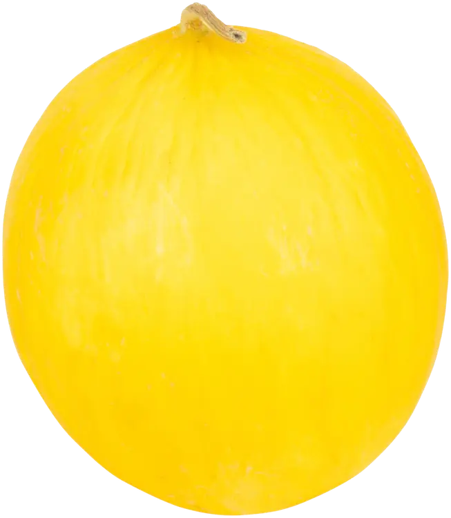 Hunajameloni