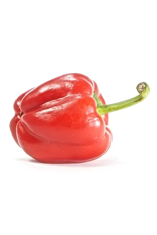 Paprika punainen Suomi