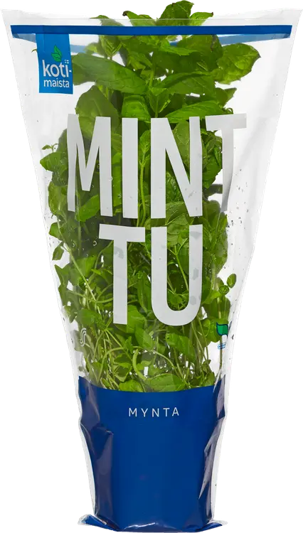 Kotimaista minttu