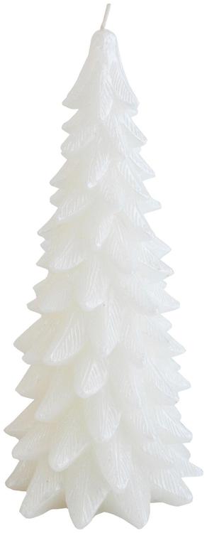 Finnmari Kuusi kynttilä 9,5x9,5x20 cm valkoinen