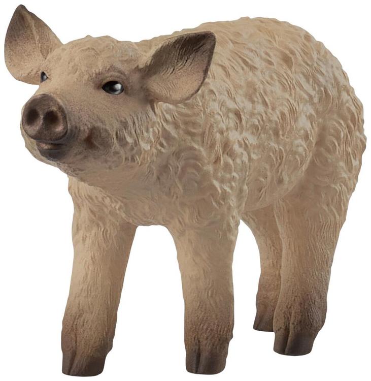 Mangalica siga