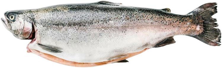 Lohi 1-2 kg, Norja