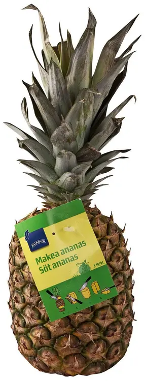 Ananas