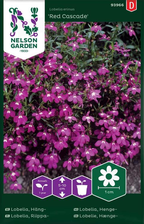 93966 lobeliia red cascade